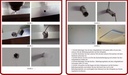 Galeriebild 1