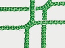 Galeriebild 7