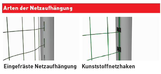Galeriebild 3