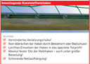 Galeriebild 7