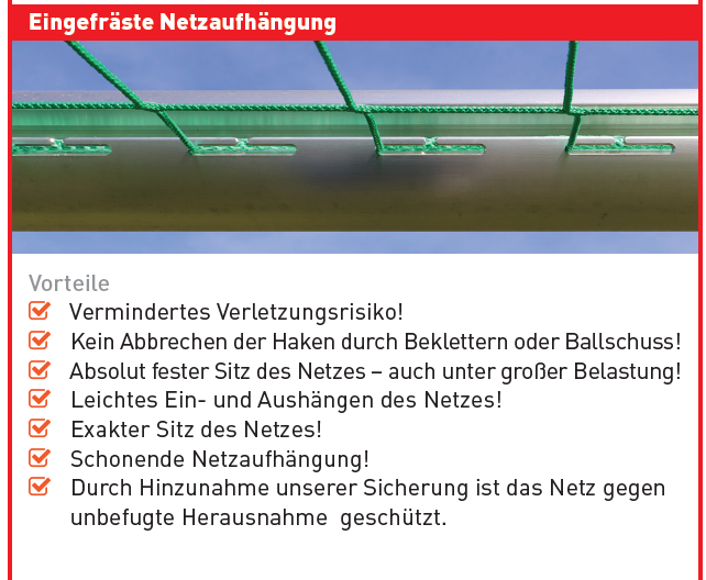 Galeriebild 8
