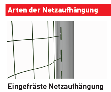 Galeriebild 5