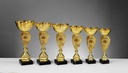 Galeriebild 1