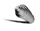 Galeriebild 1