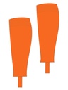 Galeriebild 7
