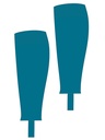Galeriebild 10